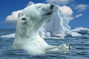 ledovce-taji-i-pod-morskou-hladinou-a-stokrat-rychleji-nez-vedci-mysleli
