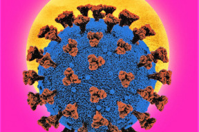 dezinformacim-o-koronaviru-veri-lide-s-nizkou-matematickou-gramotnosti-zjistili-vedci