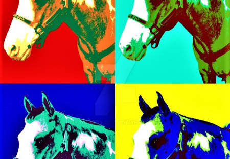 Prohlášení DSZ – ZA PRÁVA ZVÍŘAT o podpoře dobročinné akce na pomoc koňskému útulku pro týrané koně
