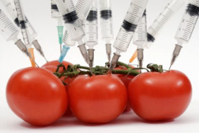 sokujuca-ruska-sprava-gmo-potraviny-biozbran-cast-prva
