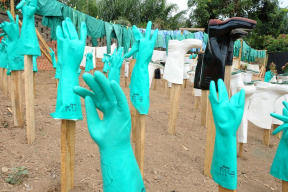 ebola-jsou-zdrojem-nemoci-netopyri-nebo-experiment-k-omezeni-populace