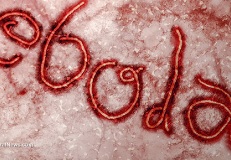 Podvod menom Ebola II Viac ako iba podozrivé: Pentagon vyvíja „vakcínu proti ebole“ spoločne s Monsantom