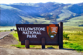 yellowstone-bod-nenavratnosti-jiz-prekrocen-vedci-utikaji-z-usa