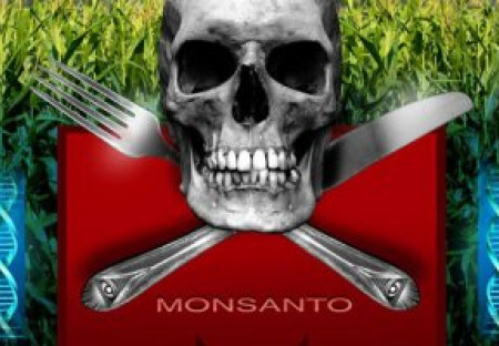 Maďarsko spálilo polia s GMO kukuricou