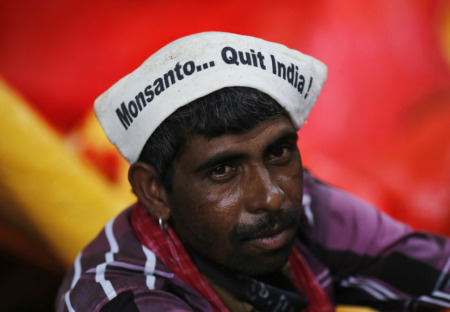 Farmáři v Indii vykazují rekordní úrodu. Poté, co skoncovali s geneticky modifikovanými plodinami