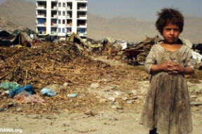 afghan-chudoba