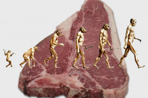masa-snime-o-polovinu-vic-nez-za-socialismu-pise-idnes-je-uplne-mimo
