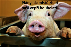 kolik-muslimu-zvladne-ceska-republika