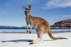 kdo-jsou-ti-utecenci-ktere-australie-nechce