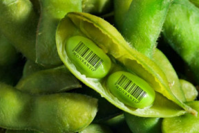 zastavme-monsanto