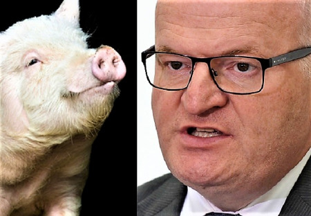 Národní demokracie podala trestní oznámení kvůli vepřínu v Letech. Kam zmizelo 316 milionů, pane Hermane?