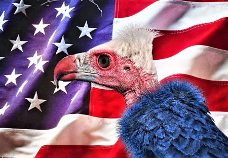 Chris Floyd: Amerika mezi dvěma póly zoufalství