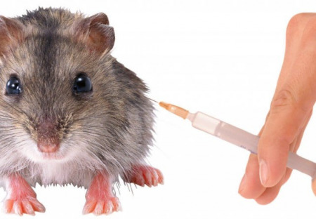 Petice DSZ - ZA PRÁVA ZVÍŘAT za ukončení pokusů a testování na zvířatech
