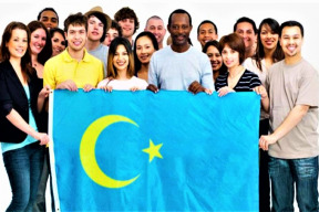 alternativa-pro-svedsko-nabizi-imigrantum-cestu-domu-aneb-diktatura-mensin-a-imigrantu-v-akci