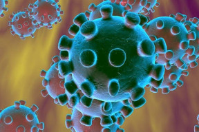 rachel-sharp-dr-faust-z-harvardu-rika-ze-koronavirus-neni-tak-smrtelny-jak-se-svet-obava
