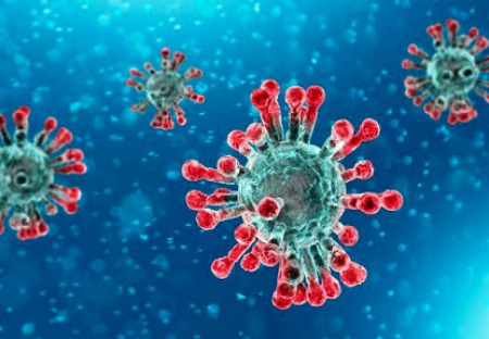 Koronavirus: Mnoho povyku pro nic? Nebo něco nevíme?