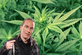 piratsky-poslanec-vymazal-a-nacher-z-ano-usporadali-kulaty-stul-o-domacim-samopestovani-konopi-rec-byla-o-navrhu-ktery-umozni-lidem-lepsi-pristup-k-lecive-rostline