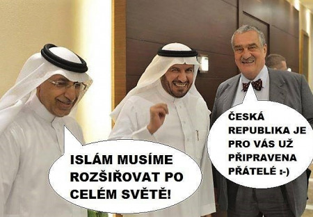 Knížecí rady, aneb jak říká prof. Fiala, komu to prospěje?