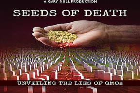 semena-smrti-odhalene-lzi-o-gmo-dokument