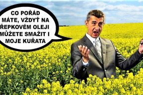 na-co-by-se-melo-ministerstvo-zivotniho-prostredi-zamerit-v-roce-2021-pirati-zadaji-lepsi-ochranu-pudy-a-pitne-vody-stopku-repce-i-setrnejsi-hospodareni