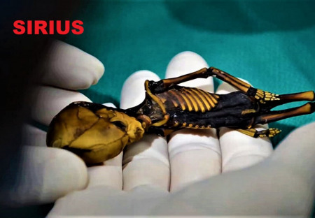 Dr. Steven M. Greer: SIRIUS (USA, DOKUMENT, 2013, 113 min., CZ tit.)