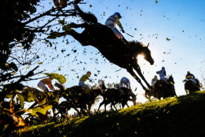 prohlaseni-dsz-za-prava-zvirat-ke-zruseni-taxisova-prikopu-a-upravam-dalsich-nebezpecnych-prekazek-pro-zavody-koni-na-velke-pardubicke-steeplechase