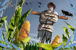 nejvyssi-soud-prisoudil-monsanto-vitezstvi-nad-farmari-u-patentu-na-gmo-osivo-a-moznosti-podavat-zaloby