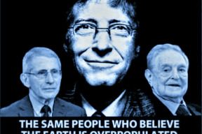 no-neverte-jim