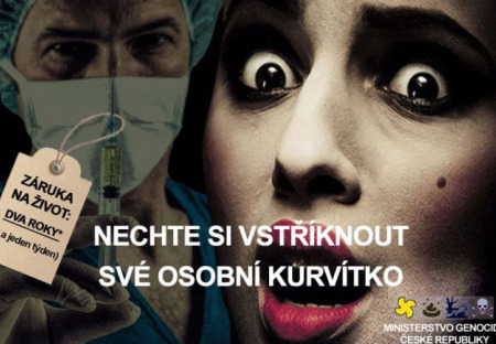 Analýza komunikační strategie vlády s obyvatelstvem v otázce kočkování