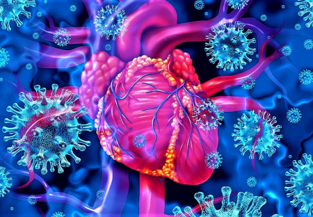 Výsledky Bhakdiho/Burkhardtovy patologie ukazují, že 93 % lidí, kteří zemřeli po očkování, bylo usmrceno vakcínou