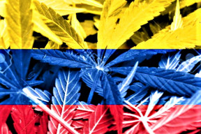 novy-kolumbijsky-prezident-navrhuje-legalizaci-konopi