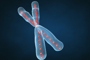 dna-skryva-netusene-moznosti