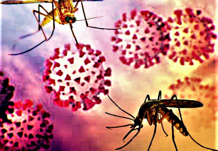 Hromadné očkování pomocí GMO komárů? + COVID vakcíny poškozují srdce