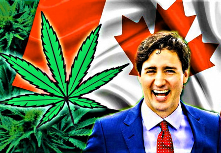POMALÝMI A POSTUPNÝMI KROKMI KU LEGALIZÁCII TVRDÝCH DROG?
