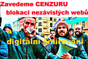 nela-liskova-rozjeli-pirati-likvidaci-svych-oponentu-na-politickou-objednavku-kolik-dalsich-umlci