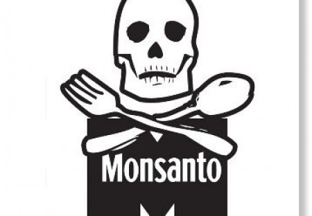 Maďaři vyrazili Monsanto i Mezinárodní měnový fond (1/2)