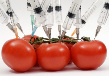 Vladimír Putin: Rusko musí chránit své občany před GMO