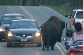 sopka-v-narodnim-parku-yellowstone-byla-oznacena-za-jednu-z-moznych-pricin-konce-sveta