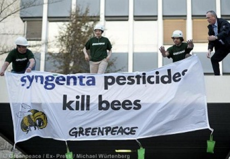 Zabít včely to ano, sami opylovat to ne...