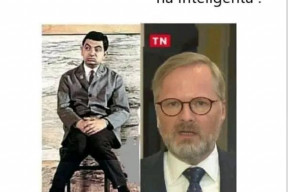 4-roky-fialove-hruzy-nestaci