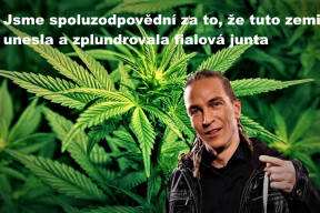 konopi-smite-vypestovat-ale-nesmite-sklidit