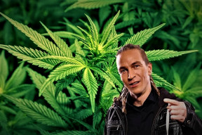 kalifornie-legalizovala-marihuanu-a-trh-ovladly-drogove-kartely