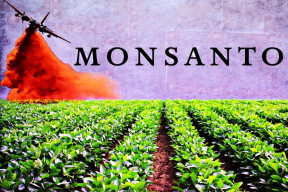 spolocnost-monsanto-bola-vyhlasena-za-najdiabolskejsiu-firmu-na-zemi