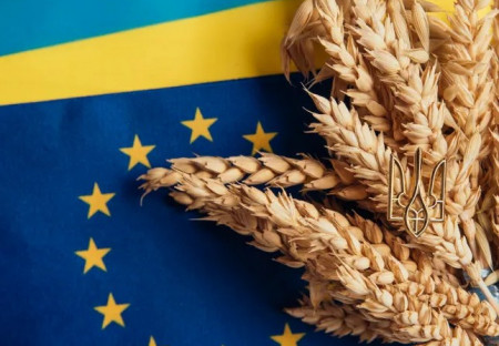 Je Európa pripravená na Ukrajinu? Stredná Európa si tým nie je istá