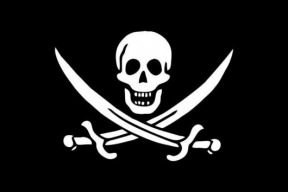 pirati-maji-dost-hlasu-na-mandat