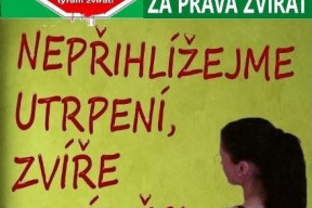 otevreny-dopis-kandidatky-dsz-za-prava-zvirat-do-ps-pcr-zuzany-andelove