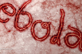 americky-vedec-uz-v-roku-2006-ziadal-vyhubit-udstvo-ebolou
