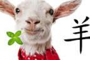 cinsky-horoskop-na-rok-2015-rok-drevene-kozy