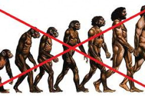 darwinova-evolucni-teorie-se-hrouti