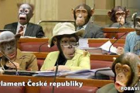 otevreny-dopis-politikum-ceske-republiky